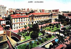 Alger - Facultees